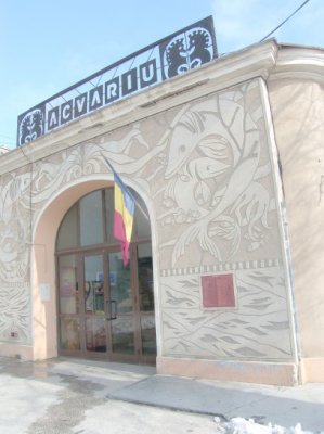 În extrasezon, e mai convenabil să vizitezi Acvariul